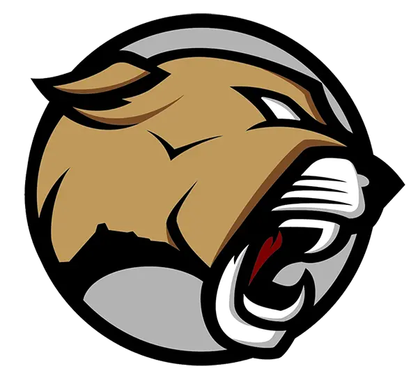 Red Mountain Mountain Lions Football